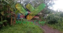 DIJUAL CEPAT TANAH SANGAT MURAH DAERAH MAPANGET, PEMILIK BUTUH UANG