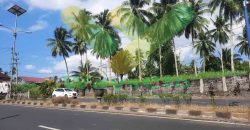 DIJUAL CEPAT TANAH STRATEGIS DEPAN JALAN UTAMA MAPANGET, HARGA DI BAWAH PASARAN