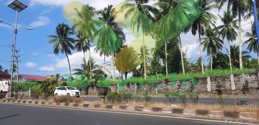 DIJUAL CEPAT TANAH STRATEGIS DEPAN JALAN UTAMA MAPANGET, HARGA DI BAWAH PASARAN