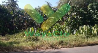 DIJUAL CEPAT TANAH SANGAT STRATEGIS DAERAH PANDU, HARGA DI BAWAH PASARAN