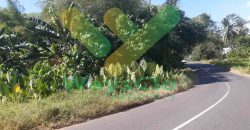 DIJUAL CEPAT TANAH SANGAT STRATEGIS DAERAH PANDU, HARGA DI BAWAH PASARAN