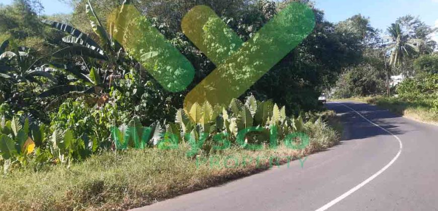 DIJUAL CEPAT TANAH SANGAT STRATEGIS DAERAH PANDU, HARGA DI BAWAH PASARAN