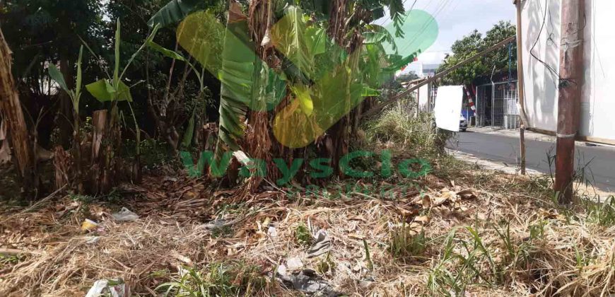 DIJUAL CEPAT TANAH CANTIK DAN SANGAT STRATEGIS DAERAH TIKALA, HARGA SANGAT MURAH