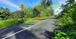 DIJUAL CEPAT TANAH STRATEGIS DAN MENARIK DAERAH KOKA, HARGA SANGAT MURAH