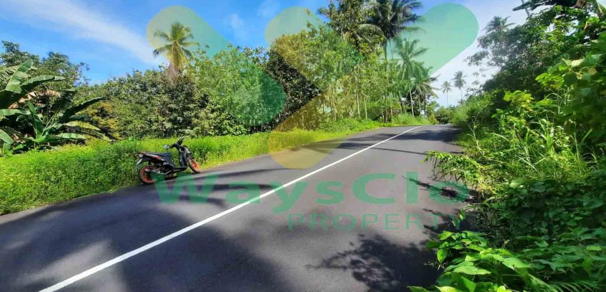DIJUAL CEPAT TANAH STRATEGIS DAN MENARIK DAERAH KOKA, HARGA SANGAT MURAH