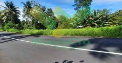 DIJUAL CEPAT TANAH STRATEGIS DAN MENARIK DAERAH KOKA, HARGA SANGAT MURAH