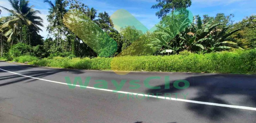 DIJUAL CEPAT TANAH STRATEGIS DAN MENARIK DAERAH KOKA, HARGA SANGAT MURAH