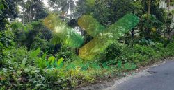 DIJUAL CEPAT TANAH CANTIK DAN MENARIK DAERAH SEA, HARGA SANGAT MURAH