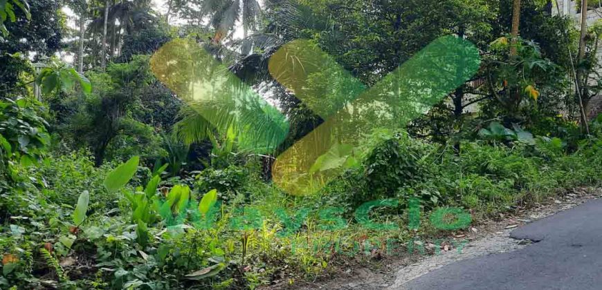 DIJUAL CEPAT TANAH CANTIK DAN MENARIK DAERAH SEA, HARGA SANGAT MURAH