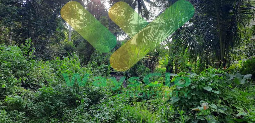 DIJUAL CEPAT TANAH CANTIK DAN MENARIK DAERAH SEA, HARGA SANGAT MURAH