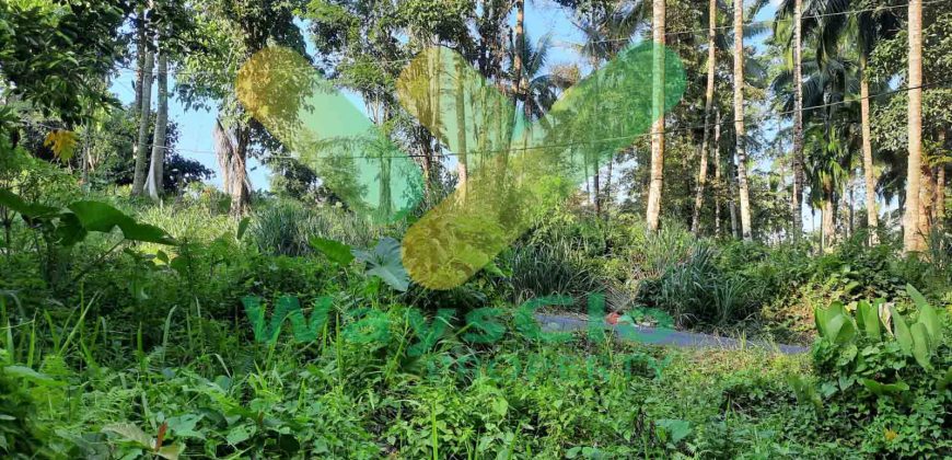 DIJUAL CEPAT TANAH CANTIK DAN MENARIK DAERAH SEA, HARGA SANGAT MURAH