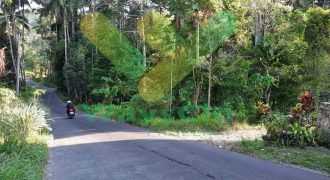 DIJUAL CEPAT TANAH CANTIK DAN MENARIK DAERAH SEA, HARGA SANGAT MURAH
