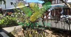 DIJUAL CEPAT RUMAH CANTIK DAN MENARIK DAERAH TOMOHON, HARGA SANGAT MURAH