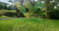 DIJUAL CEPAT TANAH CANTIK DAN MENARIK DI CITRALAND, HARGA SANGAT MURAH