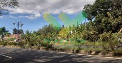 DIJUAL CEPAT TANAH SANGAT STRATEGIS DAERAH MAPANGET, HARGA DI BAWAH PASARAN