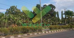 DIJUAL CEPAT TANAH SANGAT STRATEGIS DAERAH MAPANGET, HARGA DI BAWAH PASARAN