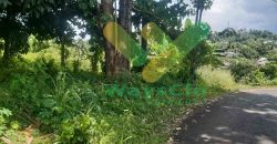 DIJUAL CEPAT TANAH CANTIK DAN MENARIK DAERAH MALALAYANG, HARGA MURAH