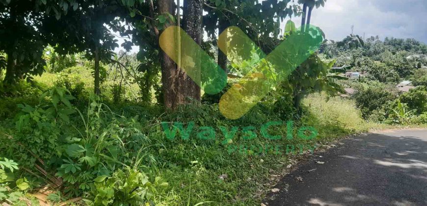 DIJUAL CEPAT TANAH CANTIK DAN MENARIK DAERAH MALALAYANG, HARGA MURAH