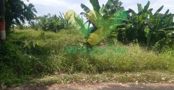 DIJUAL CEPAT TANAH CANTIK DAN MENARIK DAERAH MALALAYANG, HARGA MURAH