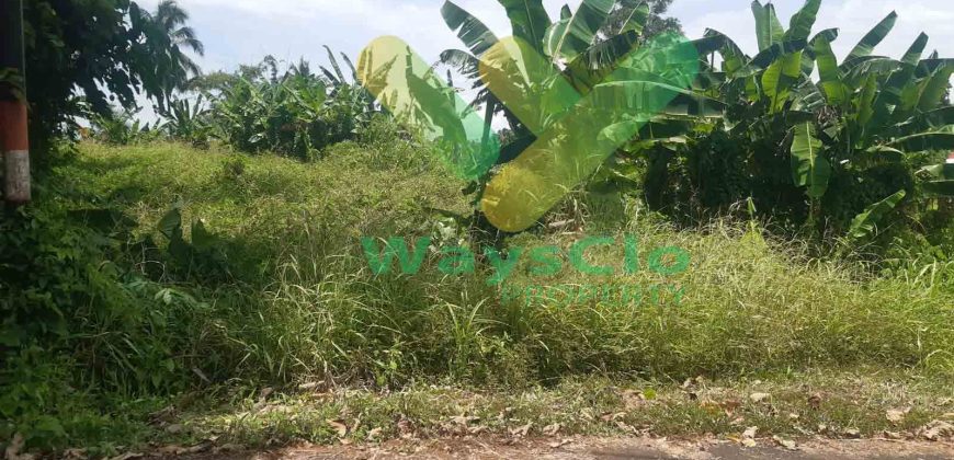 DIJUAL CEPAT TANAH CANTIK DAN MENARIK DAERAH MALALAYANG, HARGA MURAH