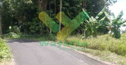 DIJUAL CEPAT TANAH CANTIK DAN MENARIK DAERAH MALALAYANG, HARGA MURAH