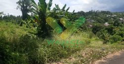 DIJUAL CEPAT TANAH CANTIK DAN MENARIK DAERAH MALALAYANG, HARGA MURAH