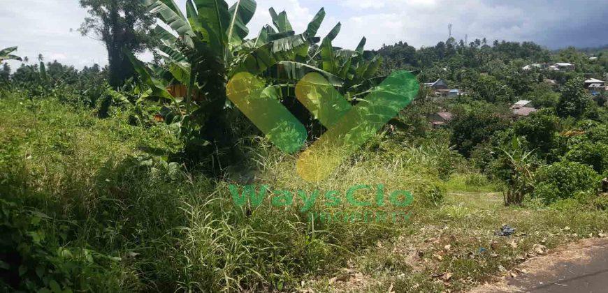 DIJUAL CEPAT TANAH CANTIK DAN MENARIK DAERAH MALALAYANG, HARGA MURAH