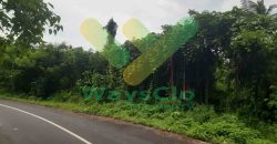 DIJUAL CEPAT TANAH STRATEGIS DAN MENARIK DAERAH MAPANGET, HARGA SANGAT MURAH