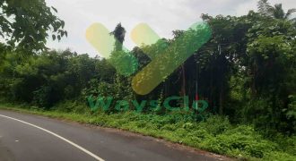 DIJUAL CEPAT TANAH STRATEGIS DAN MENARIK DAERAH MAPANGET, HARGA SANGAT MURAH