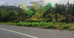 DIJUAL CEPAT TANAH STRATEGIS DAN MENARIK DAERAH MAPANGET, HARGA SANGAT MURAH