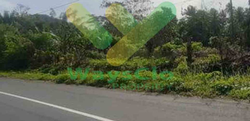 DIJUAL CEPAT TANAH STRATEGIS DAN MENARIK DAERAH MAPANGET, HARGA SANGAT MURAH