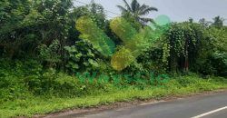 DIJUAL CEPAT TANAH STRATEGIS DAN MENARIK DAERAH MAPANGET, HARGA SANGAT MURAH