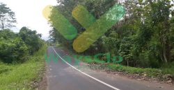 DIJUAL CEPAT TANAH CANTIK DAN STRATEGIS DAERAH MAPANGET, HARGA MURAH