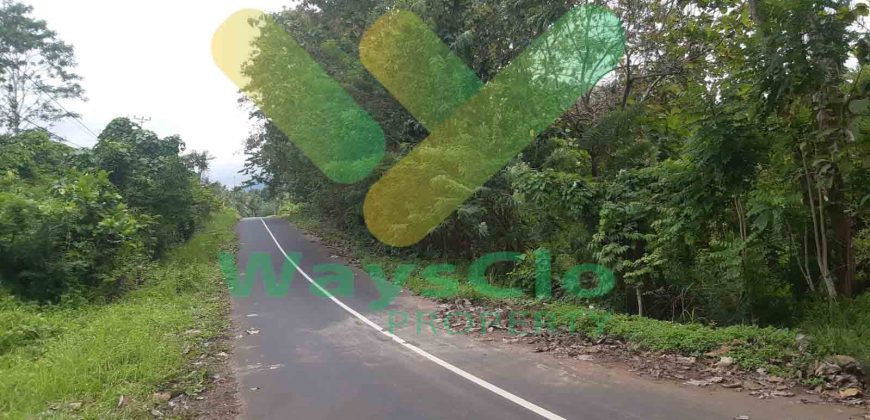 DIJUAL CEPAT TANAH CANTIK DAN STRATEGIS DAERAH MAPANGET, HARGA MURAH