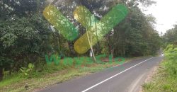 DIJUAL CEPAT TANAH CANTIK DAN STRATEGIS DAERAH MAPANGET, HARGA MURAH
