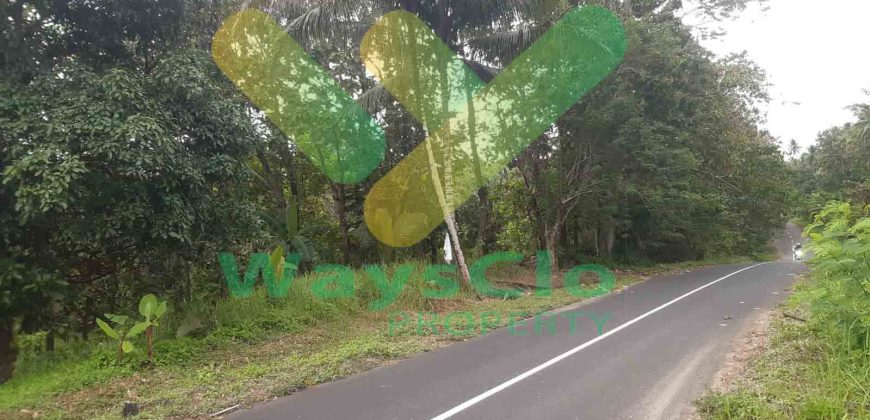 DIJUAL CEPAT TANAH CANTIK DAN STRATEGIS DAERAH MAPANGET, HARGA MURAH