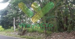DIJUAL CEPAT TANAH CANTIK DAN STRATEGIS DAERAH MAPANGET, HARGA MURAH