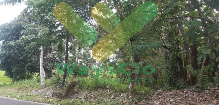 DIJUAL CEPAT TANAH CANTIK DAN STRATEGIS DAERAH MAPANGET, HARGA MURAH