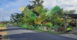 DIJUAL CEPAT TANAH MENARIK DAN SANGAT STRATEGIS DAERAH KAUDITAN, HARGA SANGAT MURAH