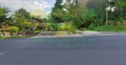 DIJUAL CEPAT TANAH MENARIK DAN SANGAT STRATEGIS DAERAH KAUDITAN, HARGA SANGAT MURAH