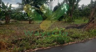 DIJUAL CEPAT TANAH CANTIK DAN MENARIK DAERAH MAPANGET, HARGA SANGAT MURAH
