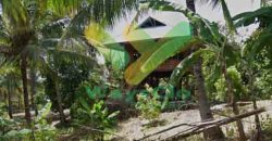 DIJUAL CEPAT TANAH MENARIK DAN STRATEGIS DAERAH LEMBEAN TIMUR, HARGA SANGAT MURAH