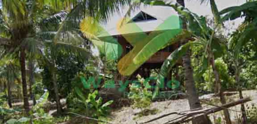 DIJUAL CEPAT TANAH MENARIK DAN STRATEGIS DAERAH LEMBEAN TIMUR, HARGA SANGAT MURAH