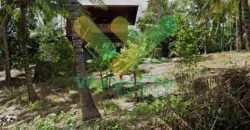 DIJUAL CEPAT TANAH MENARIK DAN STRATEGIS DAERAH LEMBEAN TIMUR, HARGA SANGAT MURAH