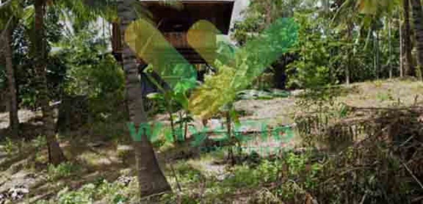 DIJUAL CEPAT TANAH MENARIK DAN STRATEGIS DAERAH LEMBEAN TIMUR, HARGA SANGAT MURAH