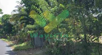 DIJUAL CEPAT TANAH MENARIK DAN STRATEGIS DAERAH LEMBEAN TIMUR, HARGA SANGAT MURAH