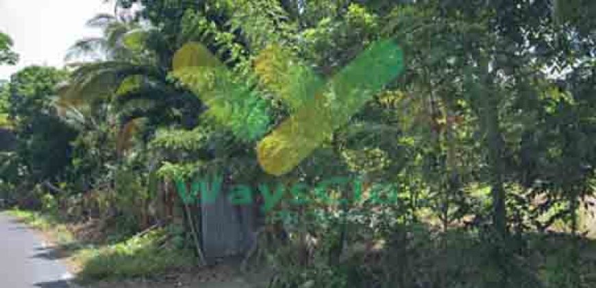 DIJUAL CEPAT TANAH MENARIK DAN STRATEGIS DAERAH LEMBEAN TIMUR, HARGA SANGAT MURAH