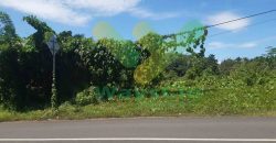 DIJUAL CEPAT TANAH SANGAT STRATEGIS DAN MURAH DAERAH MAPANGET, HARGA DI BAWAH PASARAN