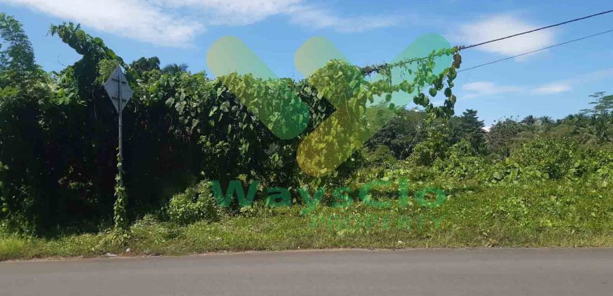 DIJUAL CEPAT TANAH SANGAT STRATEGIS DAN MURAH DAERAH MAPANGET, HARGA DI BAWAH PASARAN