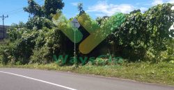 DIJUAL CEPAT TANAH SANGAT STRATEGIS DAN MURAH DAERAH MAPANGET, HARGA DI BAWAH PASARAN